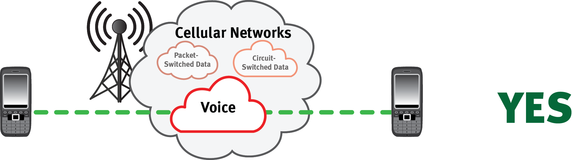 Cellular Voice Network - Mobile to Mobile only